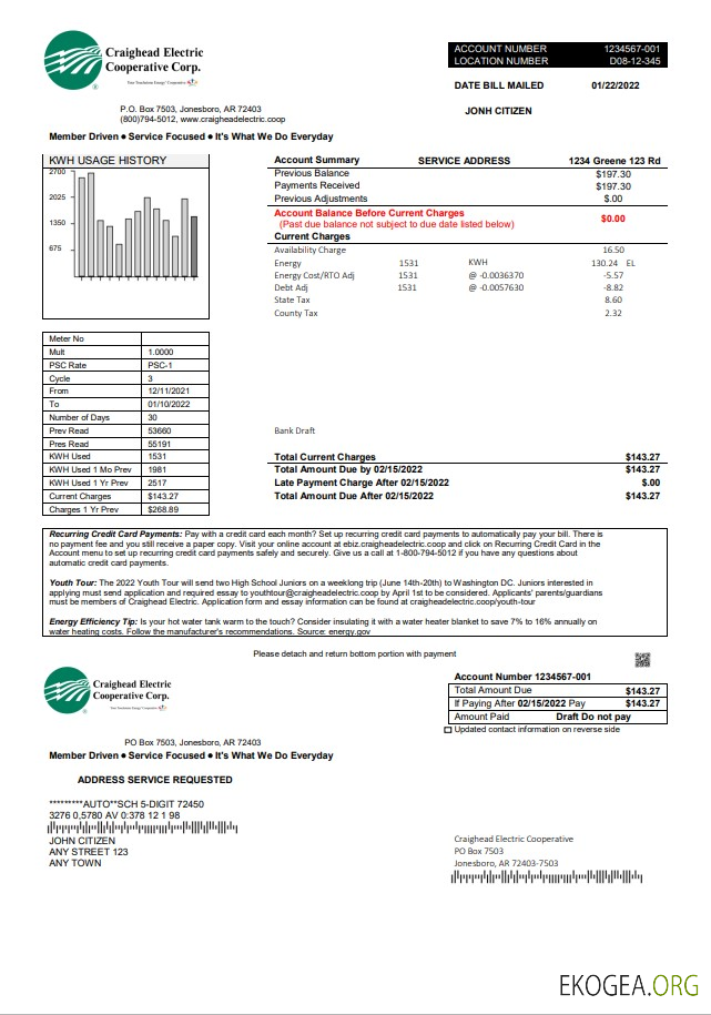 USA Craighead Electric utility bill template in Word and PDF format